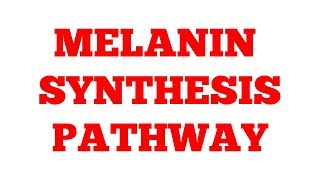 Melanin synthesis pathway  Phenylalanine Metabolism  Part2  Biochemistry [upl. by Perice]