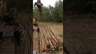 K560 Tree Shucking Session 92424 machine trees gopro weiler family woodworking [upl. by Ronnholm920]