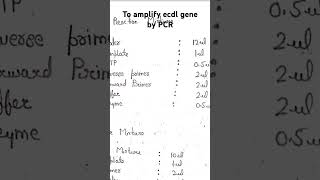 To amplify ecdl gene by PCR  PCR practical  PCR practical  gene amplificationeasy practical [upl. by Kesia]