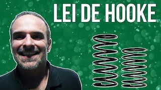 O QUE É A LEI DE HOOKE [upl. by Ardnala]