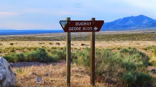 Are The Dugway Geode Beds Worth The Hype [upl. by Charlotte]