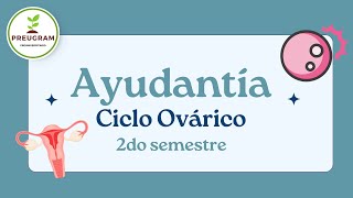 Ayudantía 5 Ciclo Ovárico  Preugram [upl. by Grannias]