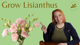 Growing Lisianthus from seed All you need to know [upl. by Maryl]