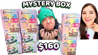 FINALLY FOUND MoriahElizabeth Mini Dessert Plushies Mystery Box Review [upl. by Redla930]