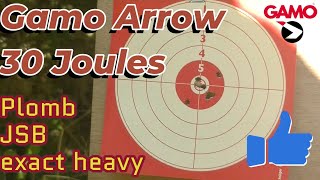 Gamo Arrow 30 joules et JSB Exact Heavy N°330 [upl. by Anailuy]