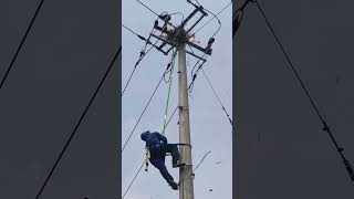 Birdnest removal process from the power transmission pole [upl. by Adali]