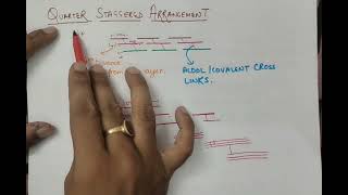 COLLAGEN  STRUCTURE AND SYNTHESIS  1ST YEAR MBBS  BIOCHEMISTRY [upl. by Canty]