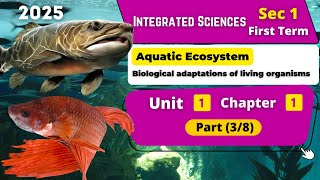 Adaptation of living organisms  Secondary One  Unit 1  Chapter 1  P 38  Integrated Sciences [upl. by Bloch248]