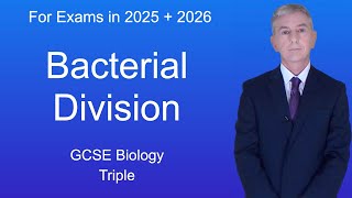 GCSE Biology Revision quotBacterial Divisionquot Triple [upl. by Neehsar]