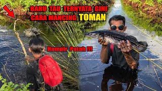 BERBURU IKAN TOMAN DI SUNGAI AIR HITAM PAKE PANCING MODEL BARU😅 122 bocahpecicilan [upl. by Eltrym]