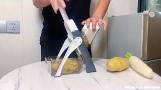 5 in 1 Vegetable Cutter Review 2021 Does It Work？ [upl. by Andrel277]