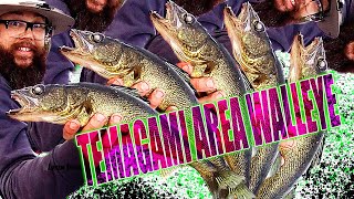 Temagami Area Walleye  Good Day [upl. by Nett]