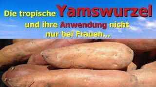 Die tropische Yamswurzel und ihre Anwendung nicht nur bei Frauen [upl. by Byrn]