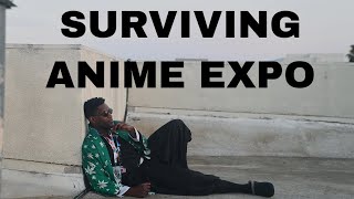 Anime Expo 2024 Vlog [upl. by Rebm]