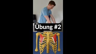 Übung 2 Training mit Trichterbrust  Pectoralis minor  Eckart Klobe Christoph Schlüter [upl. by Kopans900]