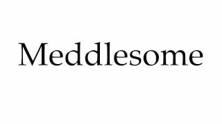 How to Pronounce Meddlesome [upl. by Nylcsoj]