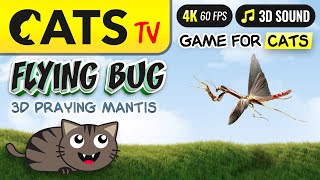 CAT TV  3D flying bug 🙀 Praying Mantis 🪲 Best game for CATS 😻📺 4K [upl. by Vic]