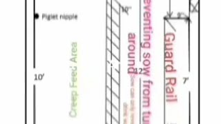 Specifications of Local Farrowing pen design [upl. by Devon]