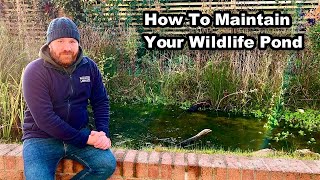 How To Maintain a WILDLIFE POND in Autumn amp Winter [upl. by Harding937]