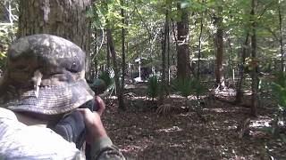 Horn Swamp Hog Hunting  Greatest Hits Volume One [upl. by Vokay549]