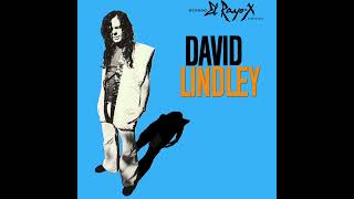 David Lindley  Quarter of a Man [upl. by Meraree]