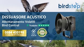 Dissuasori Acustici Ultrasuoni Anti Piccioni e Volatili BirdAcusti [upl. by Yurik]