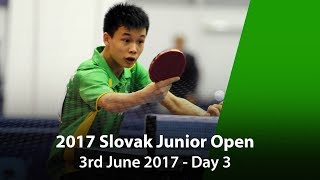 2017 ITTF Slovak Junior Open  Day 3 [upl. by Ahsit]