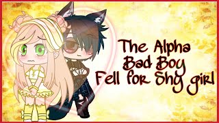 The Alpha Bad Boy Fell For The Shy Girl  Original  GCMM  Mazaydaar Videos [upl. by Essiralc]