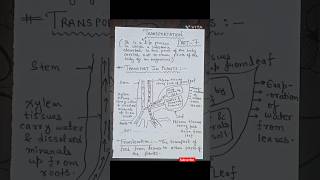 Transportation in Plants class 10 biology ncert notes  Life Processes Part7  shorts [upl. by Nnylaf]