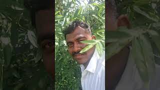 tamiltrending schoollife plants tamil [upl. by Eilahtan660]