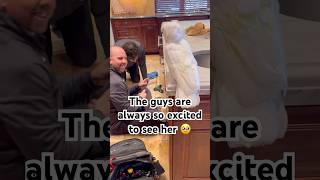 I think my parrot is breaking things 😂 cockatoo parrot funny birds adoptdontshop [upl. by Ainollopa749]