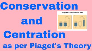 Concept of Conservation and Centration  Piagets Theory of Cognitive Development [upl. by Sadnac926]