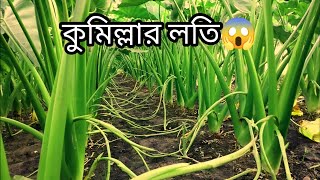 কৃষি কাজে কখনো অবহেলা নয়  Krishi bangla krishi [upl. by Kellsie]