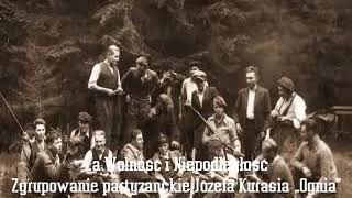 Za Wolność i Niepodległość Zgrupowanie partyzanckie Józefa Kurasia Ognia  Audiobook PL [upl. by Eceinej]