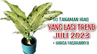 10 Tanaman Hias Yang Lagi Trend di Bulan Juli 2023 [upl. by Orten]