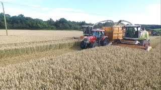 Remorque à fond poussant ROLLAND ROLLPUSH 9048 en ensilage dherbe [upl. by Armitage]