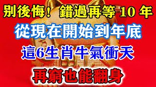 別後悔！錯過再等10年！從現在開始到年底，這6生肖牛氣沖天，再窮也能翻身！運勢 風水 佛教 生肖 发财 横财 【佛之緣】 [upl. by Ateerys]