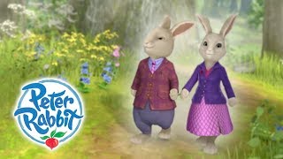 Peter Rabbit  Parents Day  Curious Bunnies  Cartoons for Kids [upl. by Aneetak]