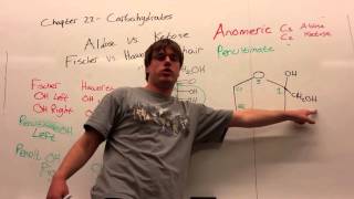 Chapter 22 Part 1  Fischer Haworth and Chair Conformations [upl. by Heriberto217]