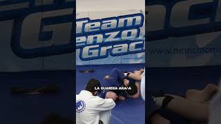 Danaher  Gi vs Nogi [upl. by Ennayehc]