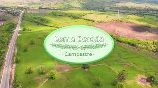 Campestre Loma Dorada Coatzintla Veracruz [upl. by Adlesirc123]