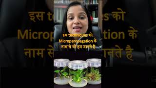 Tissue culture  Plant Tissue Culture  Micropropagation  Class 12 Biology 202324 [upl. by Dorcea]