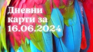 Дневни карти за всички зодиакални знаци за 16062024 [upl. by Limbert]