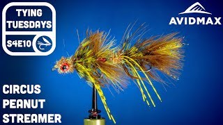 How to tie the Circus Peanut Streamer  AvidMax Fly Tying Tuesday Tutorials [upl. by Norma547]