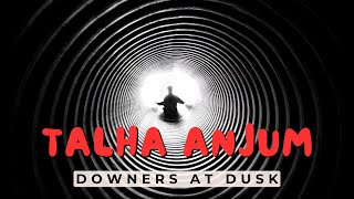 Downers At Dusk  Talha Anjum Slowed  Reverb MUSIC ASTEROID [upl. by Orlina]