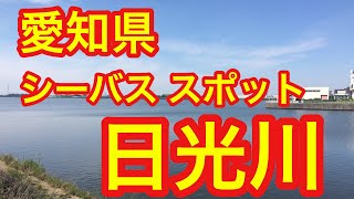 愛知県 シーバス スポット 日光川 [upl. by Beekman]