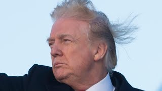 The Truth About Donald Trumps Hair Revealed [upl. by Dulcinea]