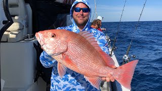 How To Vent amp Descend Red Snapper This Is How We Get More Days Next Year [upl. by Inaj]