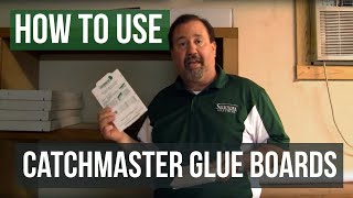 How To Use Mouse Glueboards Catchmaster 72mb [upl. by Tien]