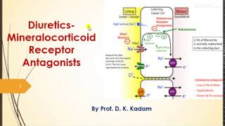 Mineralocorticoid Recepror Antagonists [upl. by Atkins]